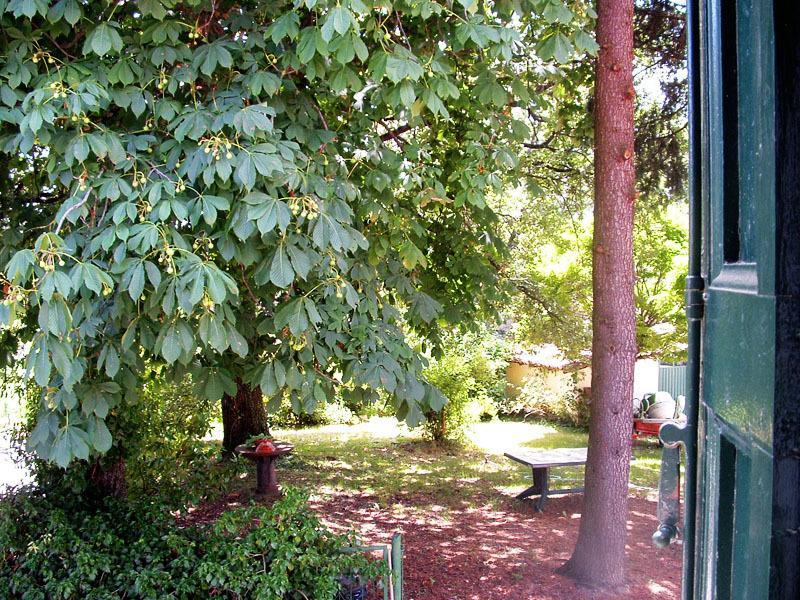 Bed & Breakfast Ca' Morano