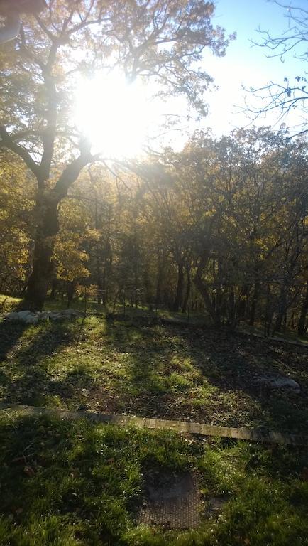 Bed and breakfast Ca' Morano